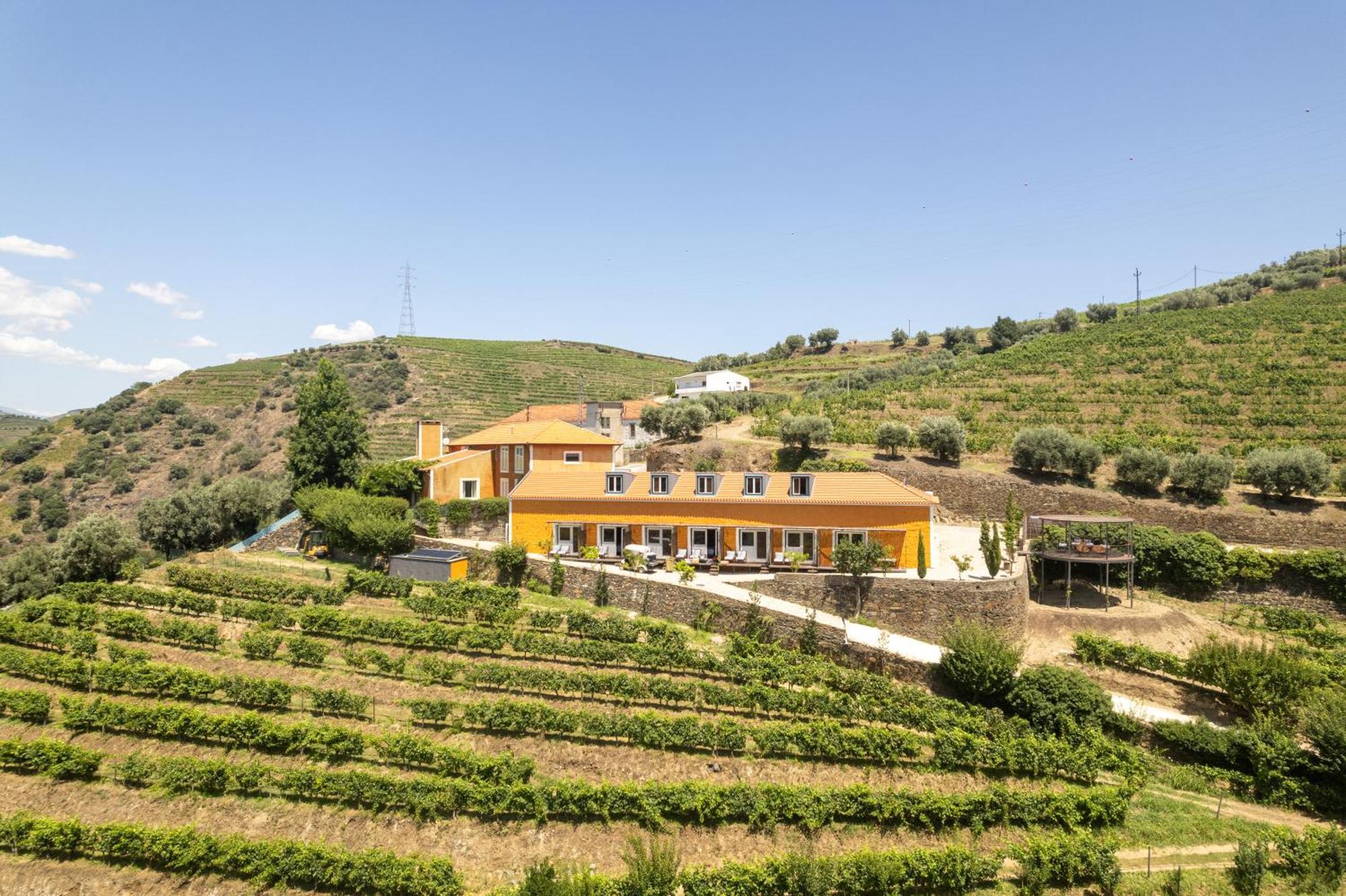 Quinta Do Vallado - Douro Wine Hotel Peso da Régua Exteriér fotografie
