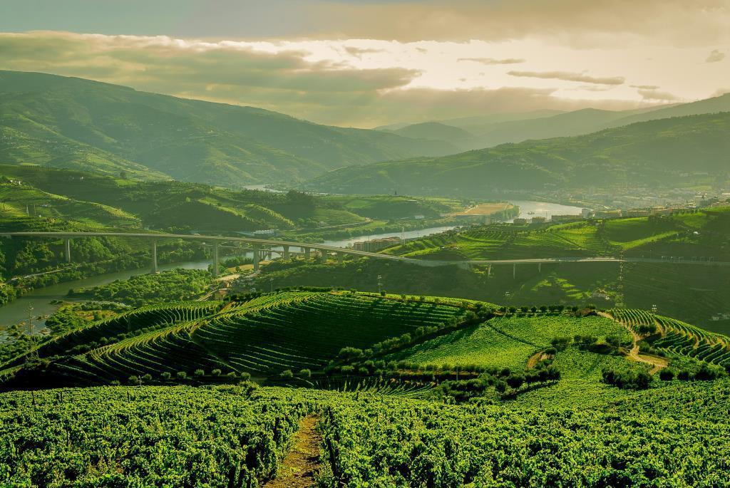 Quinta Do Vallado - Douro Wine Hotel Peso da Régua Exteriér fotografie