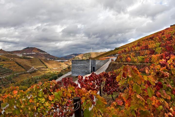 Quinta Do Vallado - Douro Wine Hotel Peso da Régua Exteriér fotografie